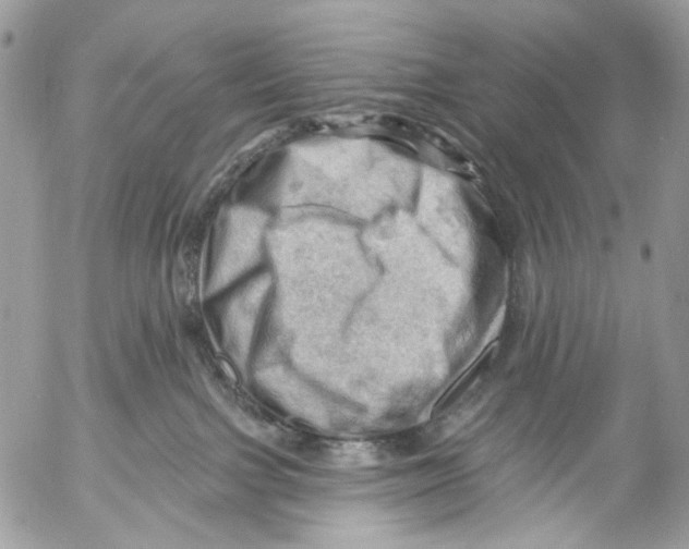 X0000053080091200508081256