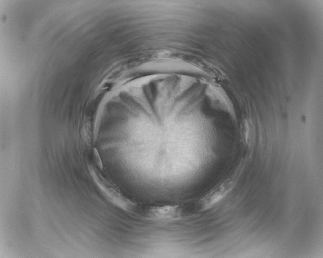 X0000053080092200508081256