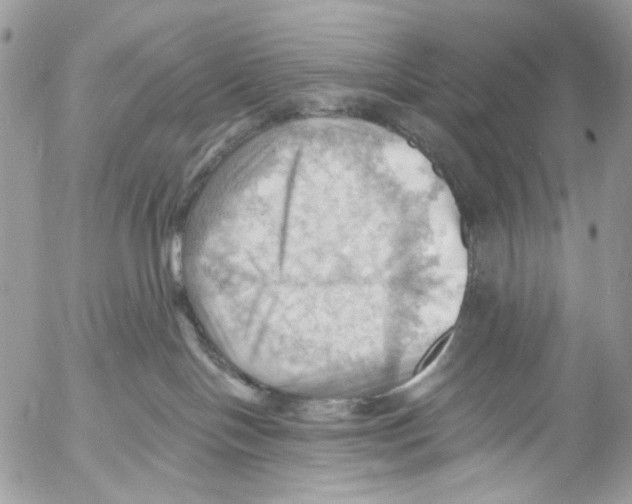 X0000053080094200508081256