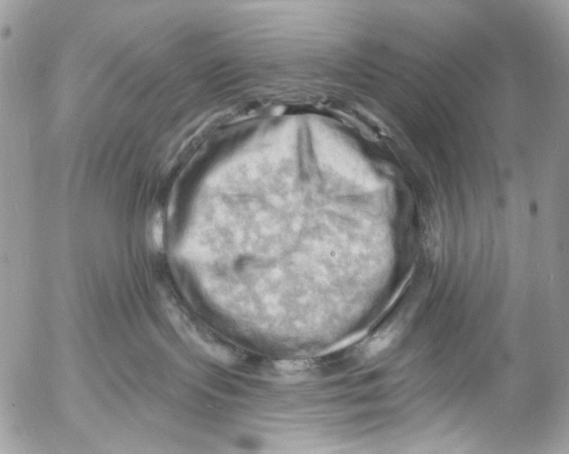 X0000053080095200508081256