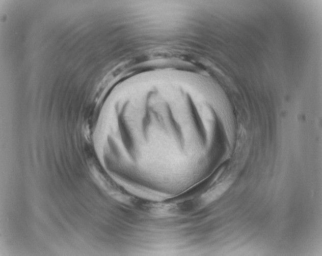 X0000053080096200508081256