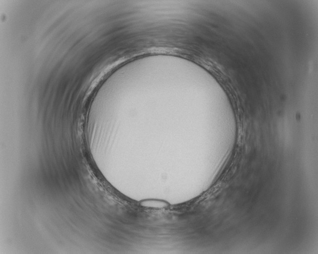 X0000053080098200508081255