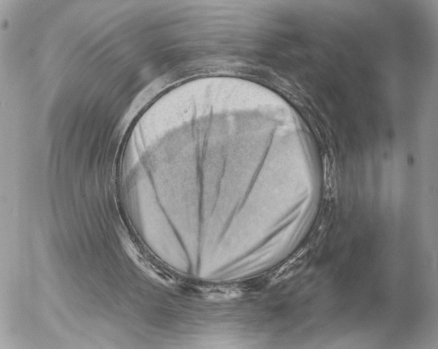 X0000053080099200508081255