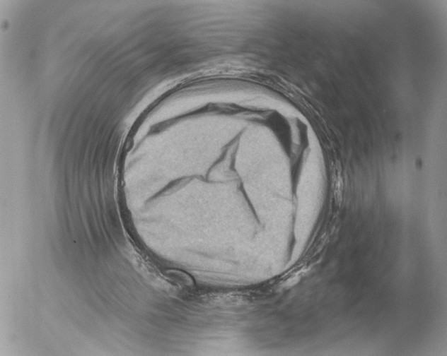 X0000053080100200508081255