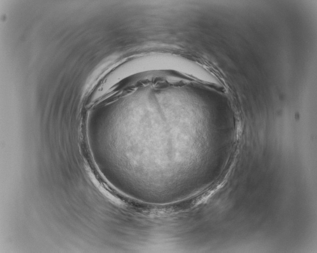 X0000053080101200508081255