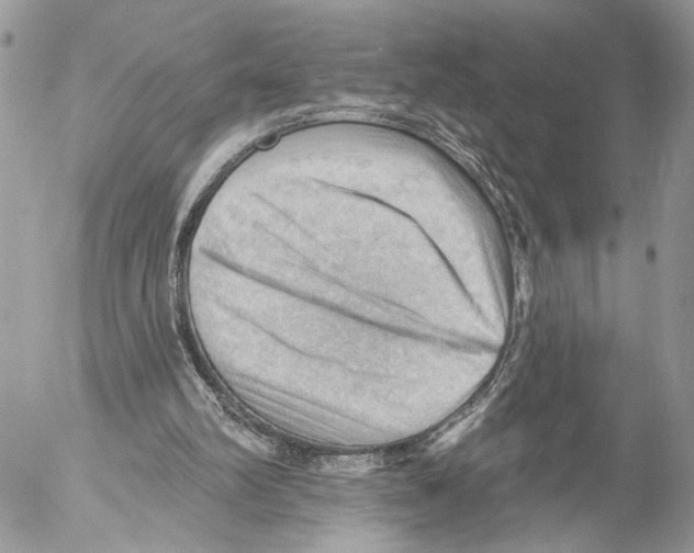 X0000053080102200508081255