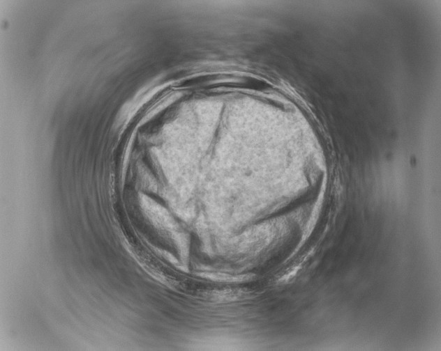 X0000053080103200508081255