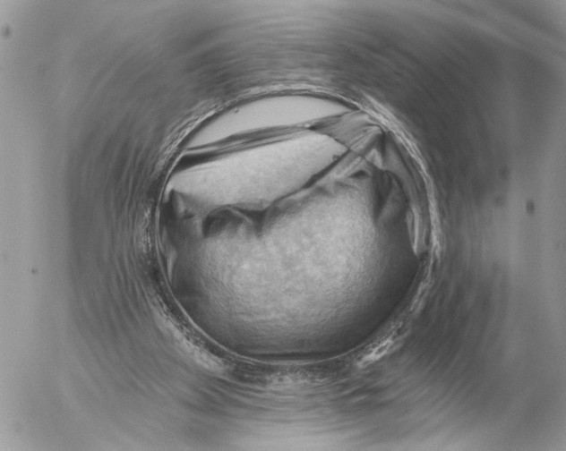 X0000053080105200508081255