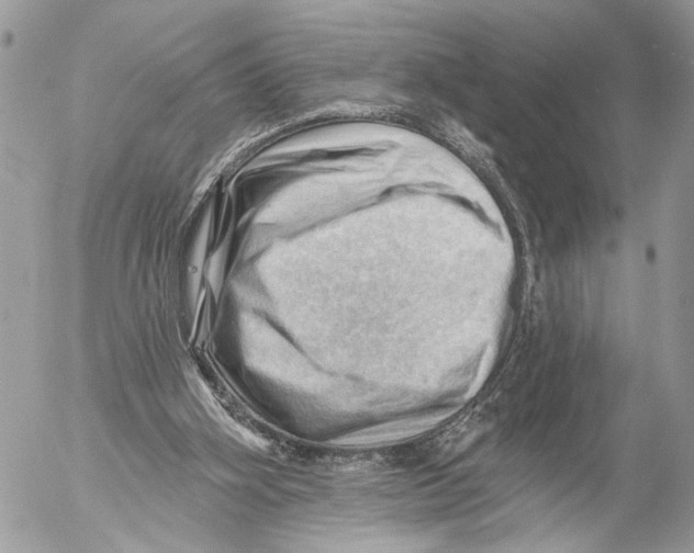 X0000053080106200508081255