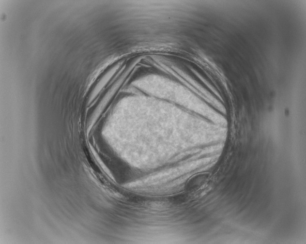 X0000053080107200508081255