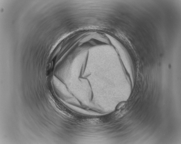 X0000053080108200508081255