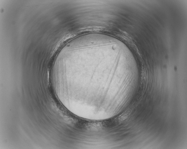 X0000053080110200508081255