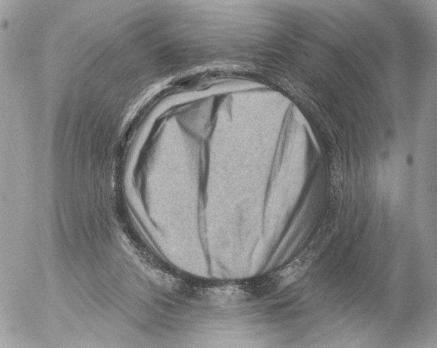 X0000053080112200508081255