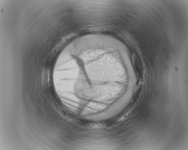 X0000053080115200508081255