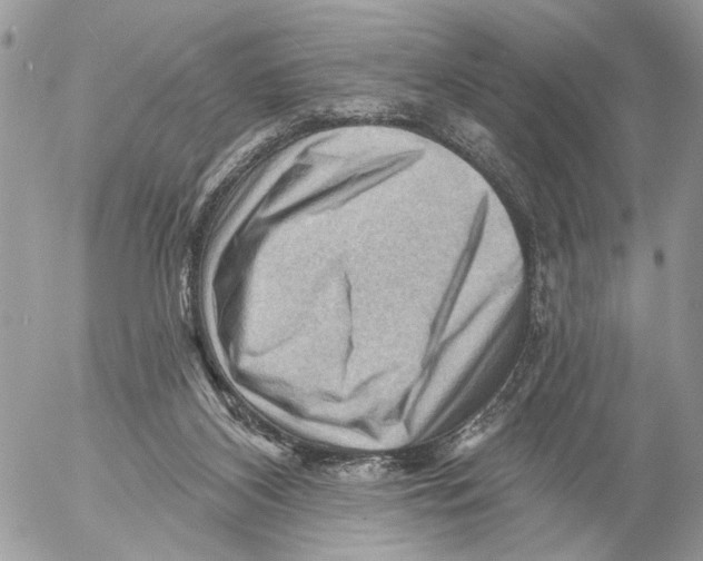 X0000053080116200508081255