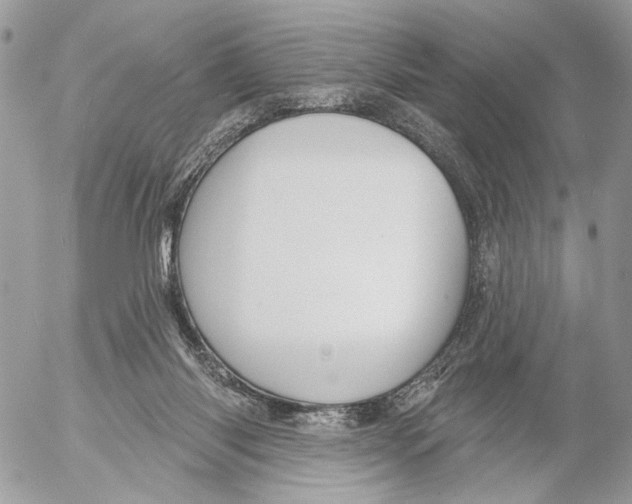 X0000053080118200508081255