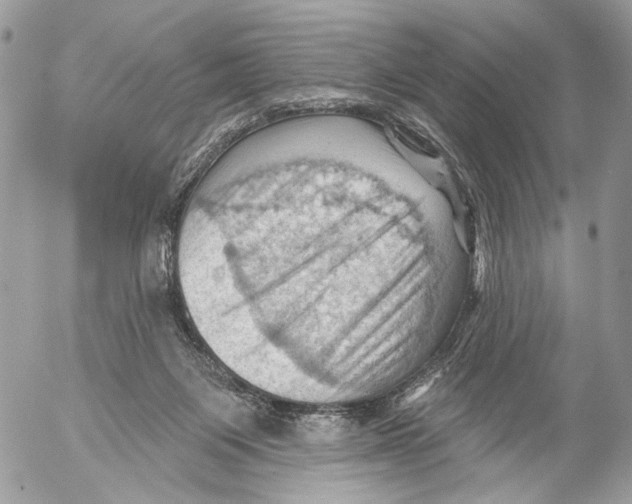 X0000053080119200508081255