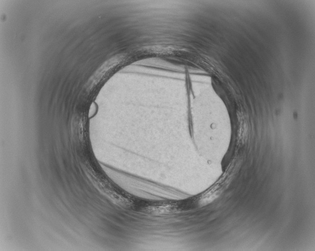 X0000053080120200508081255