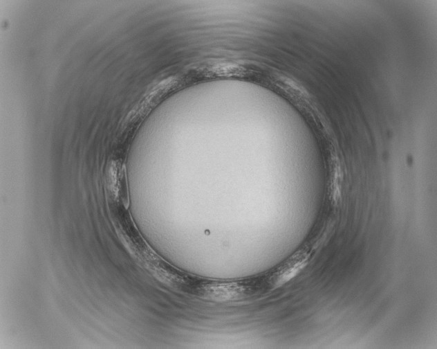 X0000053080121200508081255