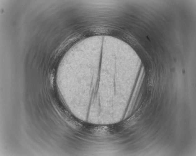 X0000053080124200508081255