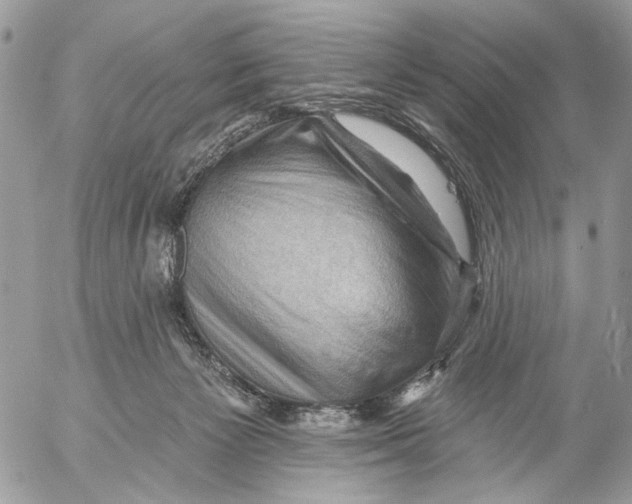 X0000053080125200508081255