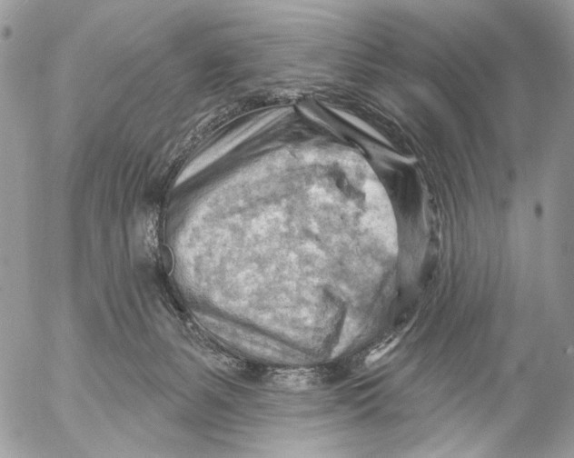 X0000053080127200508081255