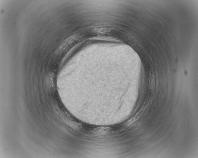 X0000053080128200508081255