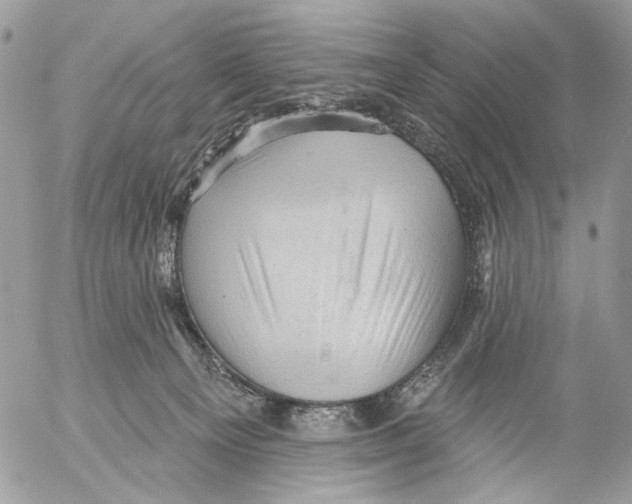 X0000053080129200508081255