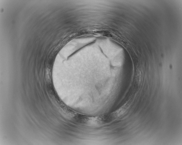 X0000053080130200508081255