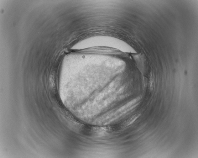 X0000053080131200508081255