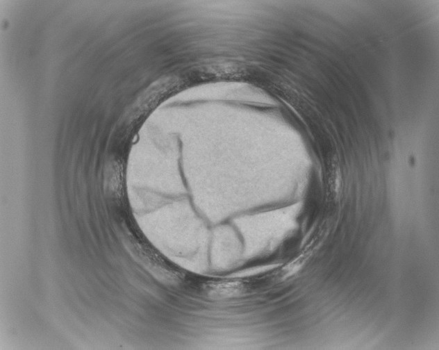 X0000053080132200508081255