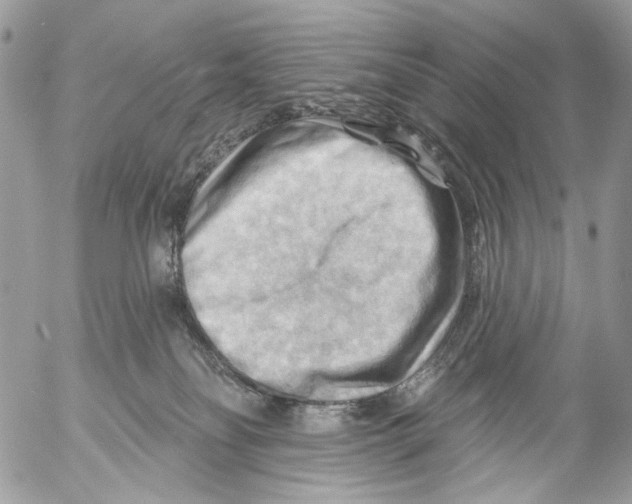 X0000053080134200508081255