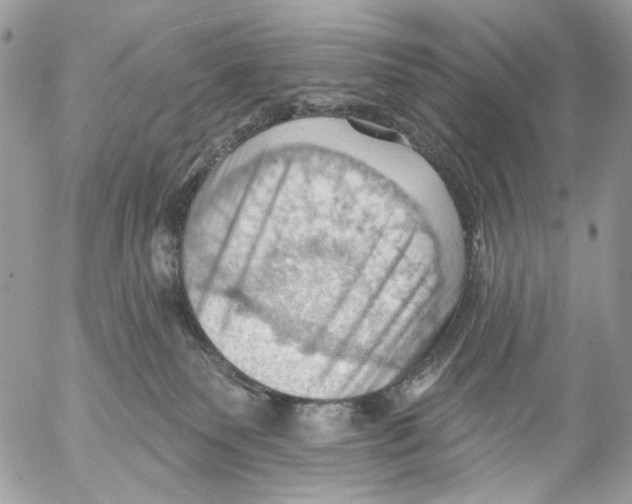 X0000053080135200508081255