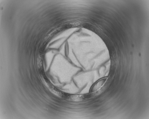 X0000053080136200508081255