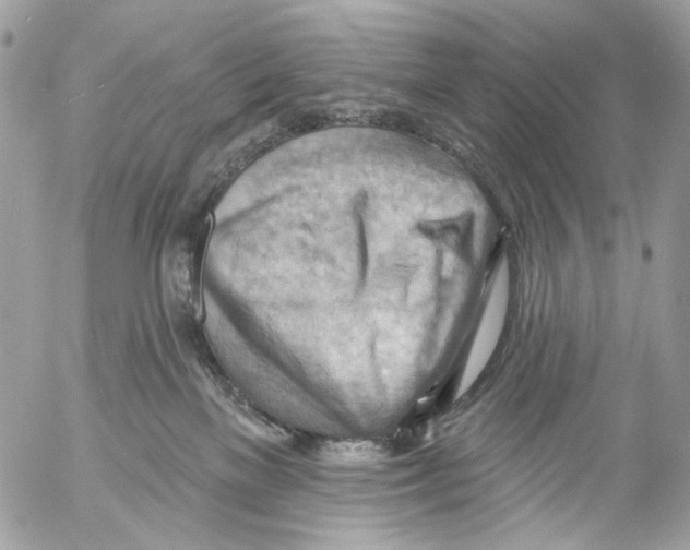 X0000053080137200508081255