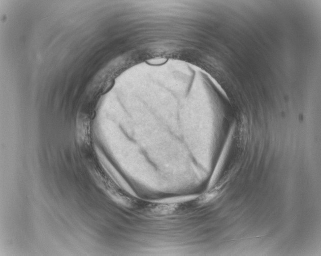 X0000053080138200508081255