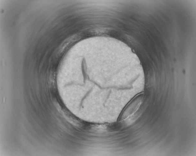 X0000053080140200508081255