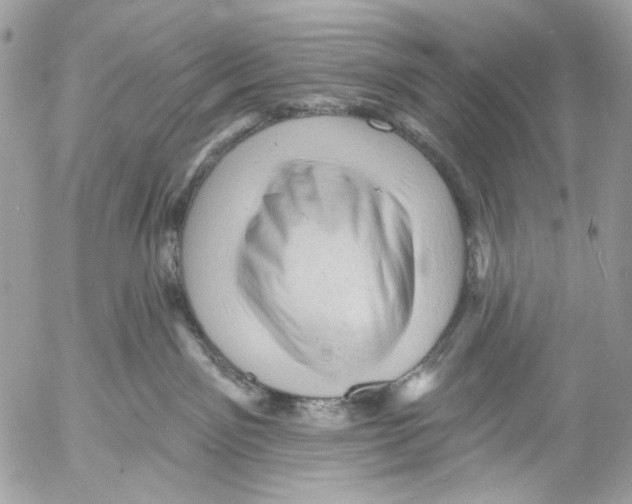 X0000053080141200508081255