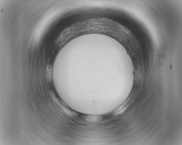 X0000053080142200508081255