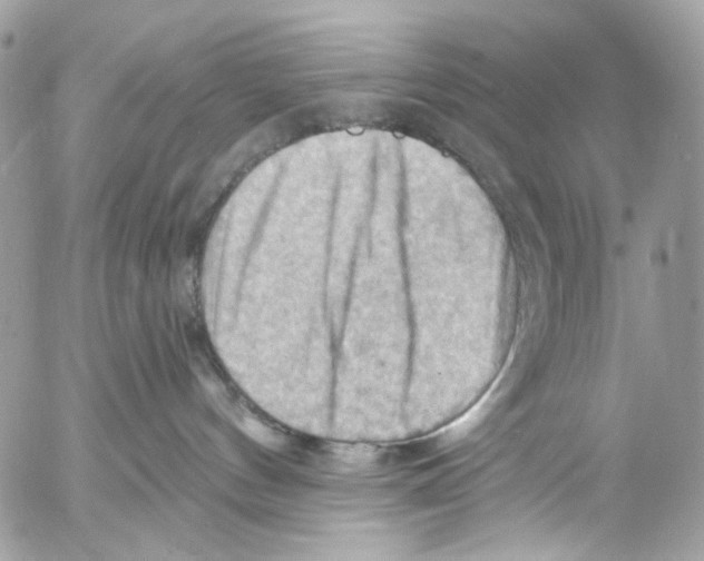 X0000053080144200508081255