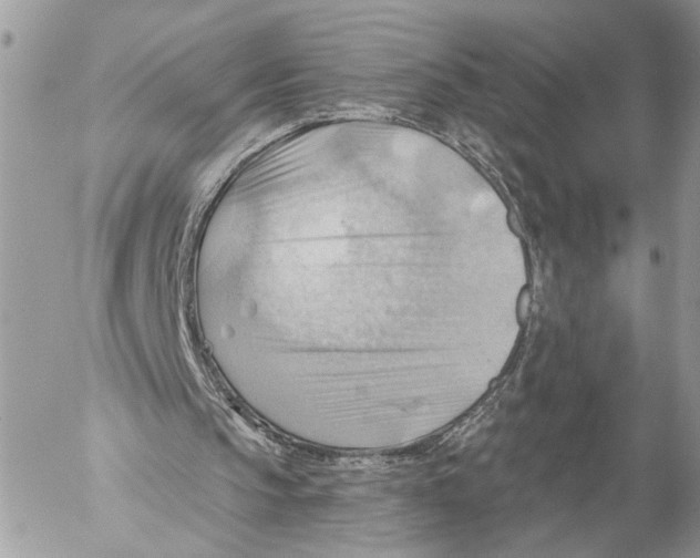 X0000053080145200508081254