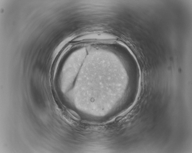 X0000053080147200508081254