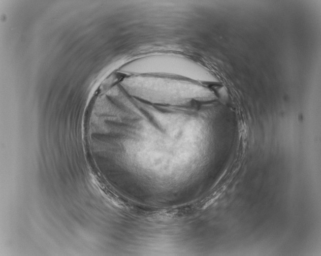 X0000053080148200508081254