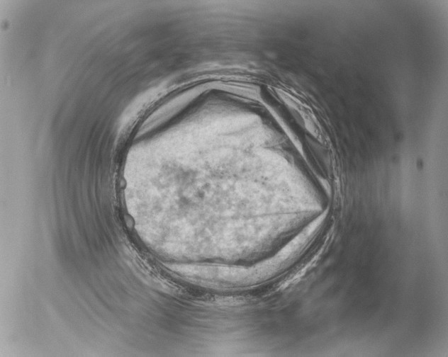 X0000053080149200508081254