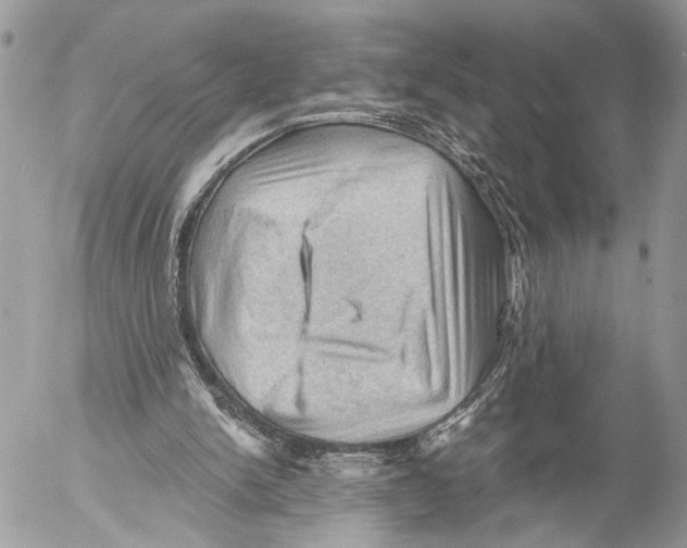 X0000053080150200508081254