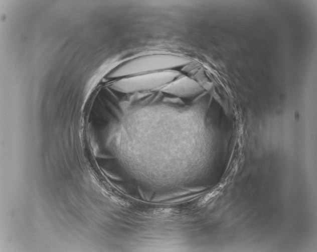 X0000053080152200508081254