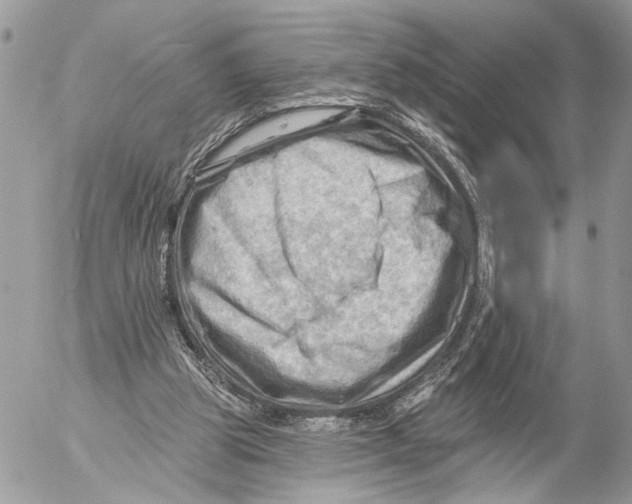 X0000053080153200508081254