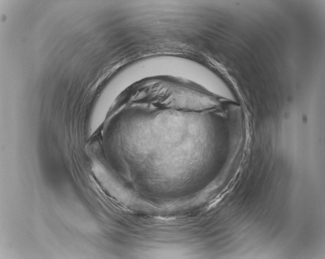 X0000053080154200508081254