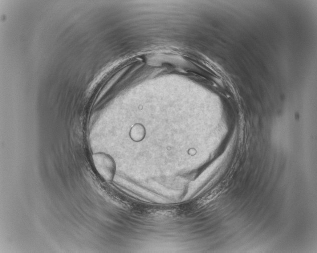 X0000053080155200508081254