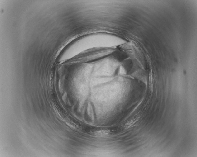 X0000053080156200508081254